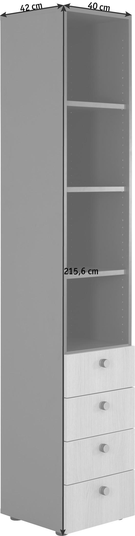REGAL Silberfarben, Buchefarben  - Silberfarben/Buchefarben, KONVENTIONELL, Holzwerkstoff/Metall (40/215,6/42cm)