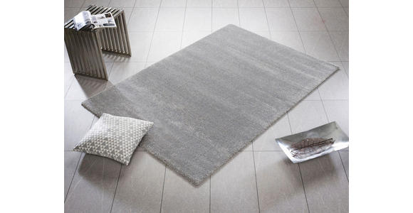 HOCHFLORTEPPICH 240/340 cm Bellevue Grau  - Grau, Basics, Textil (240/340cm) - Novel