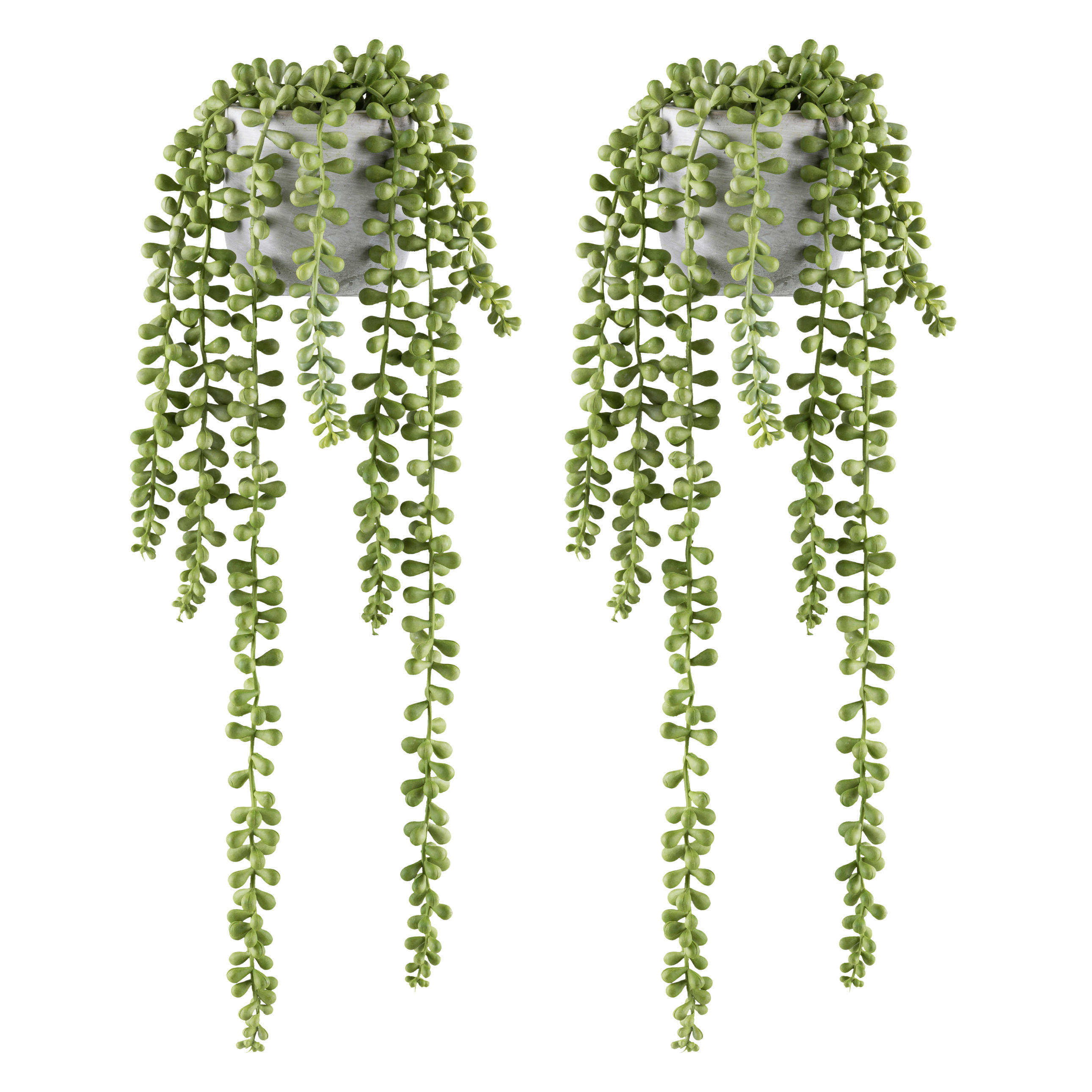 KUNSTPFLANZE Sukkulente 45 cm  - Hellgrün/Grau, Design, Keramik/Kunststoff (45cm) - P & B