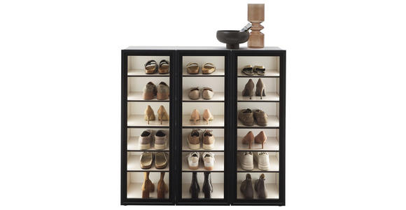 SCHUHSCHRANK  in 120/115/34 cm  - Kaschmir/Schwarz, Design, Glas/Holzwerkstoff (120/115/34cm) - Voleo