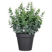 KUNSTPFLANZE Eukalyptus 70 cm  - Schwarz/Grün, Basics, Kunststoff (70cm) - P & B