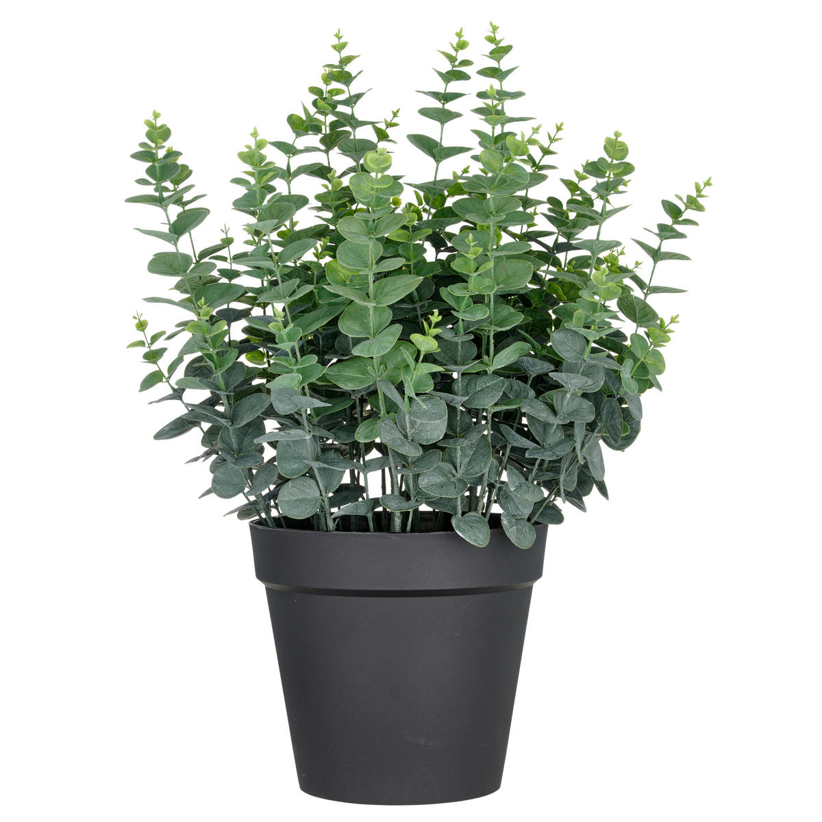 KUNSTPFLANZE Eukalyptus 70 cm  - Schwarz/Grün, Basics, Kunststoff (70cm) - P & B