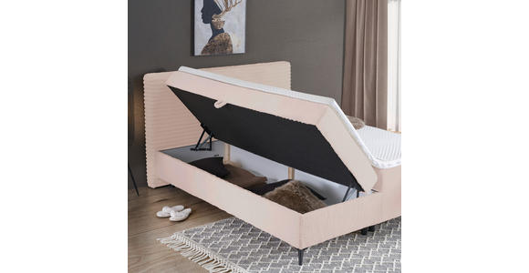 BOXBETT 160/200 cm in Rosa - Schwarz/Rosa, Design, Holz/Holzwerkstoff (160/200cm) - Xora