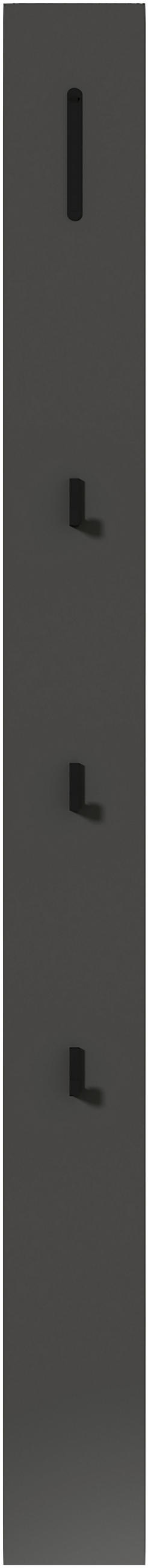 GARDEROBENPANEEL  in 15/165/5 cm  - Anthrazit/Schwarz, Design, Holzwerkstoff/Metall (15/165/5cm) - Dieter Knoll