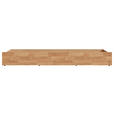 BETTSCHUBKASTEN Eichefarben  - Eichefarben, Natur, Holz/Holzwerkstoff (197/22,5/60cm) - Linea Natura