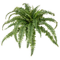 KUNSTPFLANZE Farn  - Grün, Basics, Kunststoff (100cm) - P & B