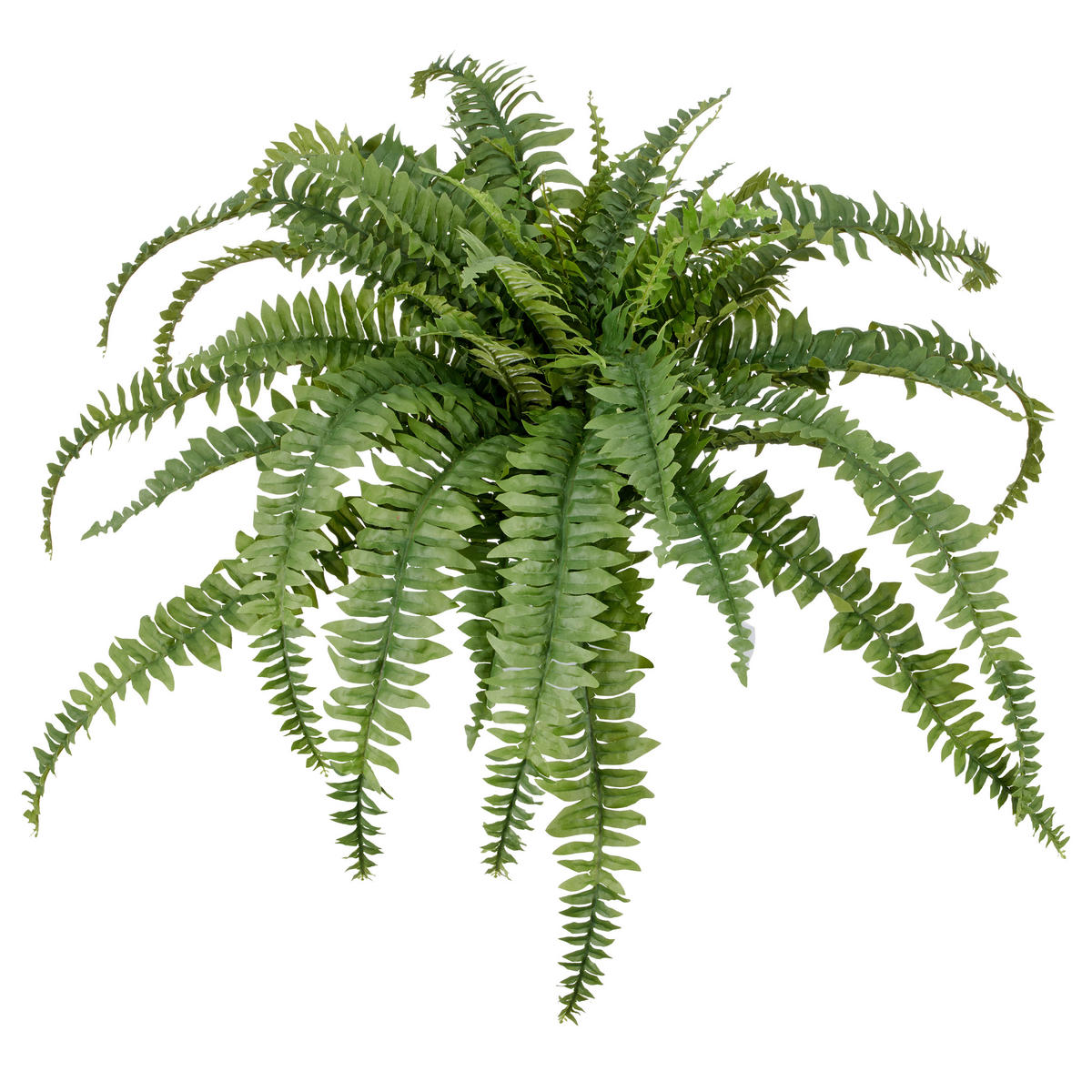 KUNSTPFLANZE Farn  - Grün, Basics, Kunststoff (100cm) - P & B