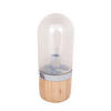 TISCHLEUCHTE 14/14/33 cm   - Champagner, Trend, Glas/Holz (14/14/33cm) - Kayoom