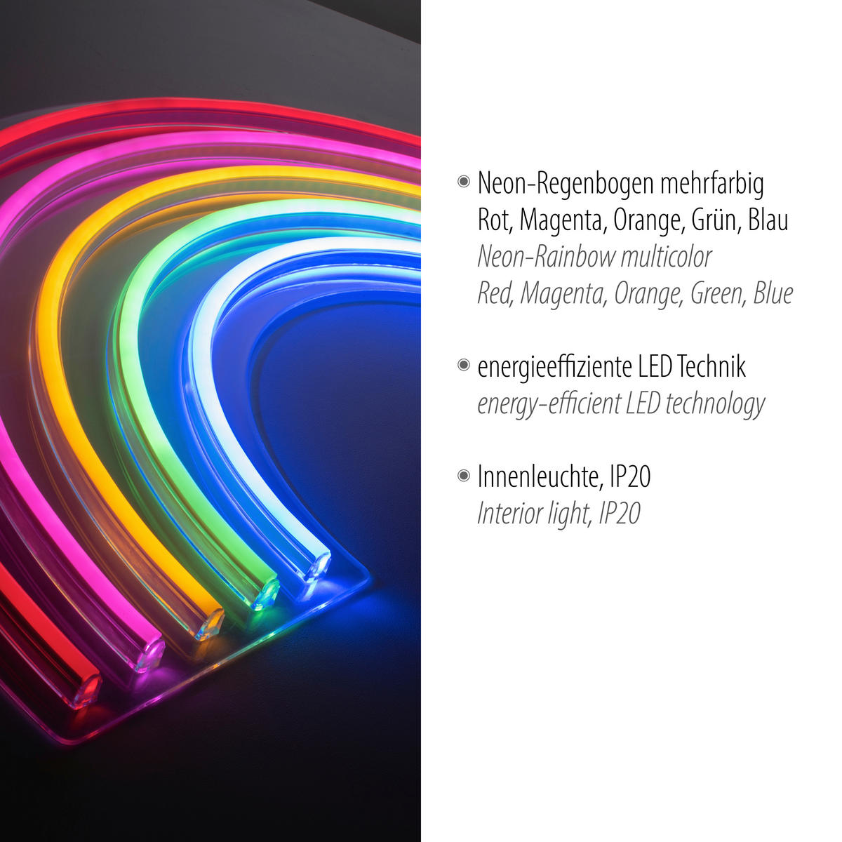 LED-DEKORATIONSLAMPA Neon-Rainbow 63/1,5/32 cm   - Basics, plast (63/1,5/32cm)