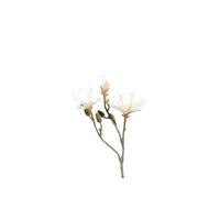 MAGNOLIE - Creme/Braun, LIFESTYLE, Kunststoff (55cm)