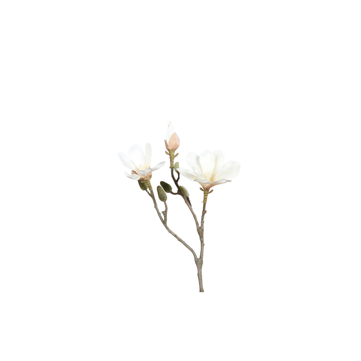 MAGNOLIE - Creme/Braun, LIFESTYLE, Kunststoff (55cm)