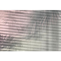 VLIESTAPETE SHADOWS  - Design, Papier (368/248cm) - Komar