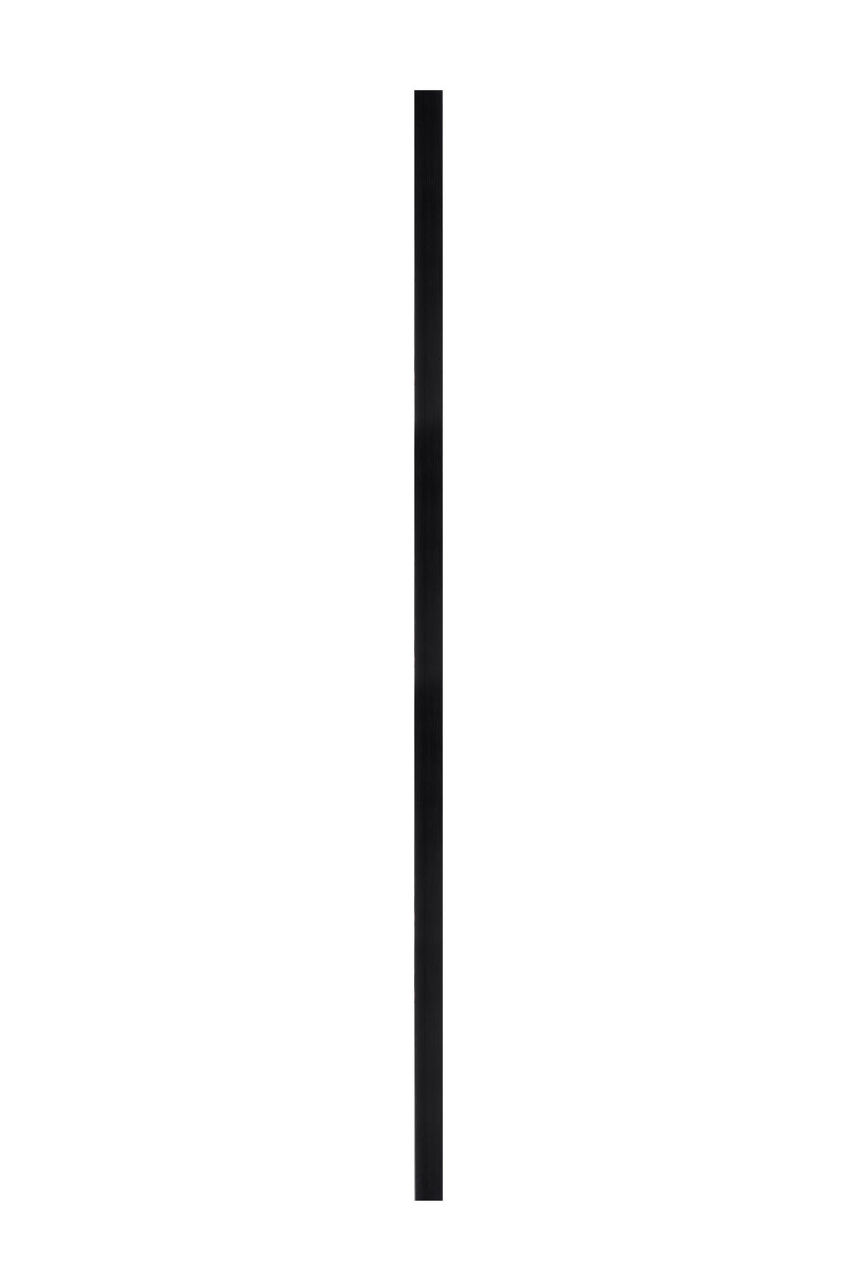 STENSKO OGLEDALO, 70/170/4,5 cm steklo  - zlate barve/črna, Konvencionalno, umetna masa/steklo (70/170/4,5cm) - MID.YOU