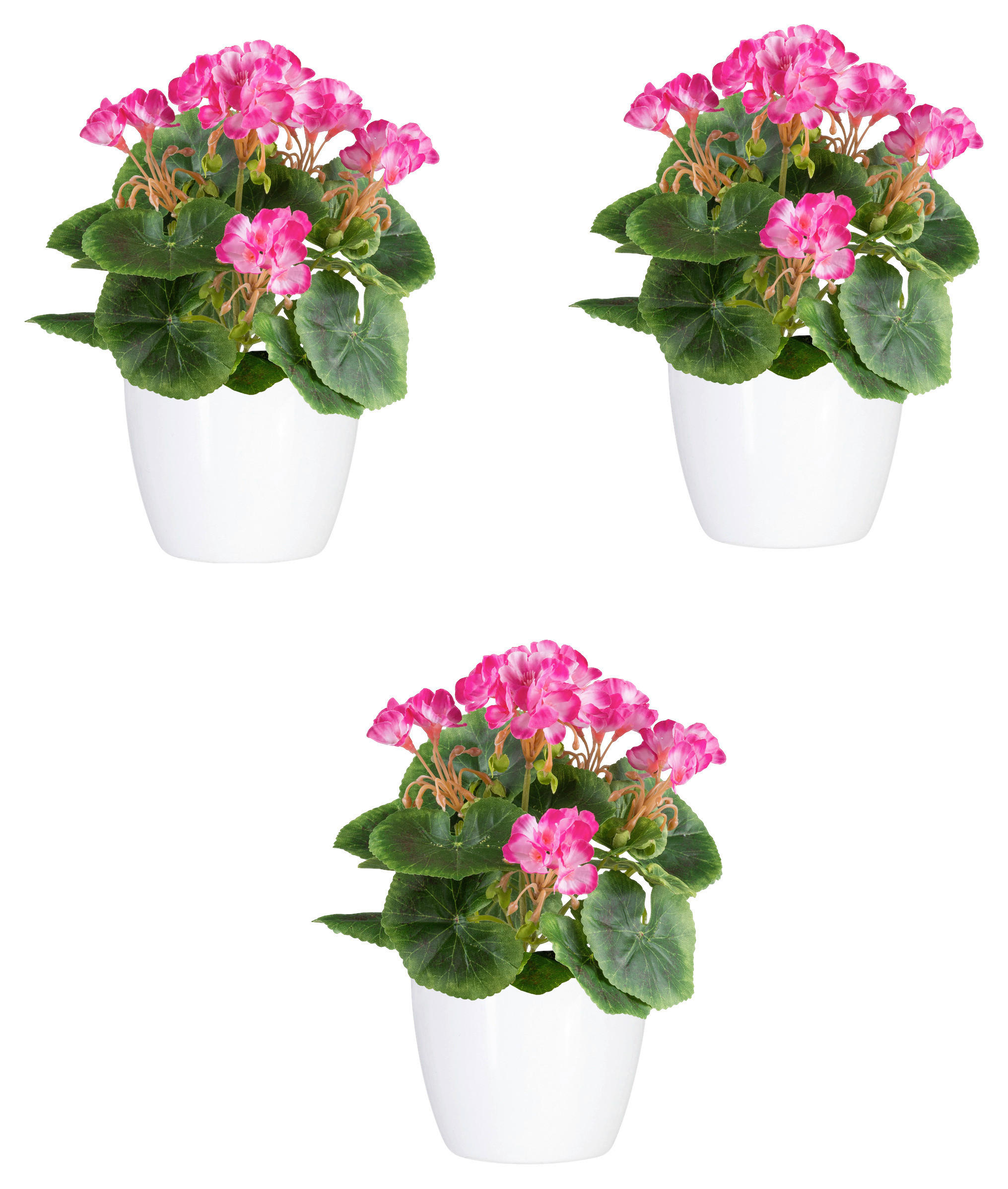 KUNSTPFLANZE Geranie 24 cm  - Pink/Weiß, Design, Keramik/Kunststoff (24cm)