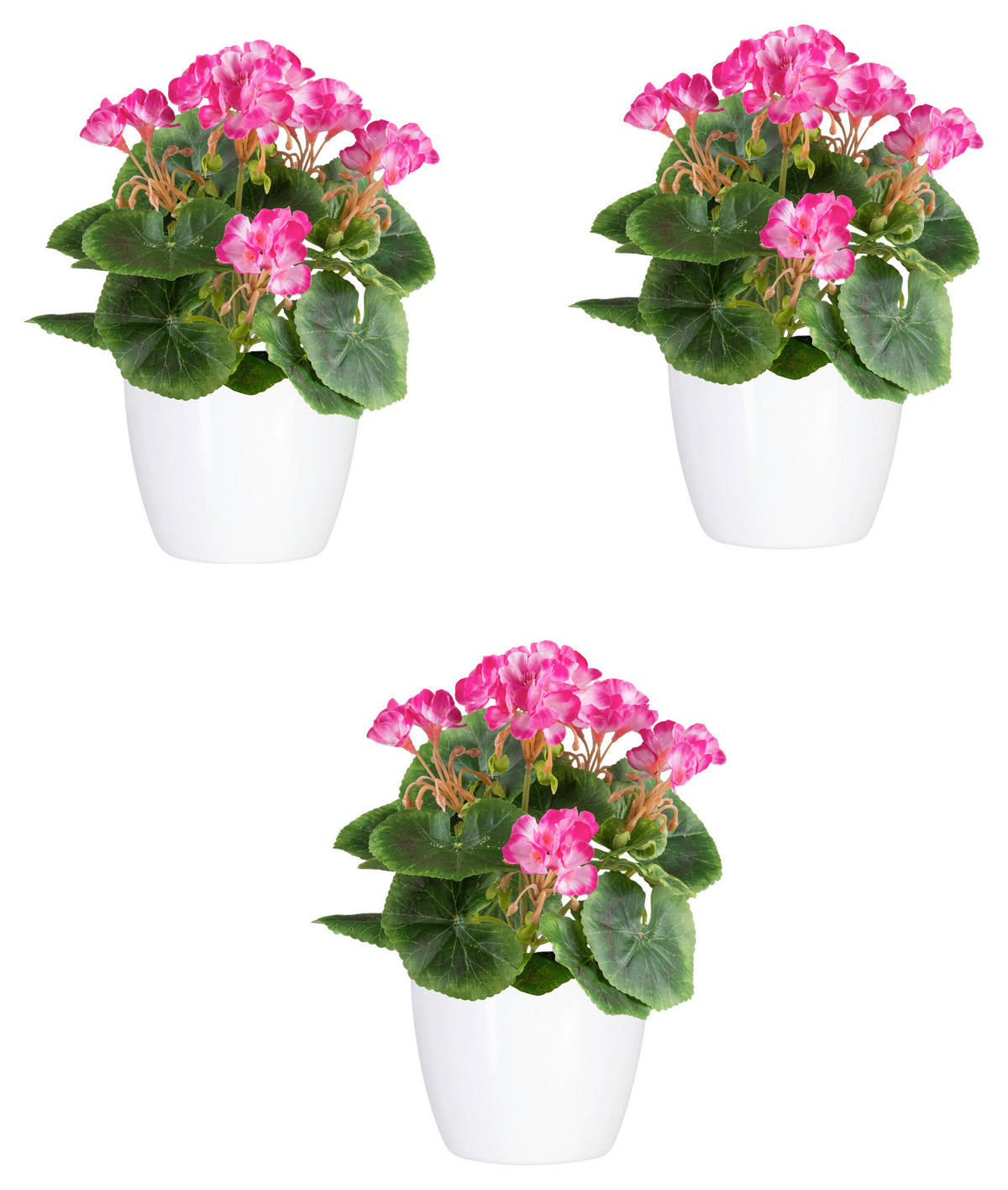 KUNSTPFLANZE Geranie 24 cm  - Pink/Weiß, Design, Keramik/Kunststoff (24cm)