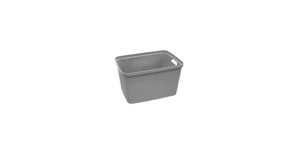 AUFBEWAHRUNGSBOX 28,5/38,5/22 cm - Hellgrau, Basics, Kunststoff (28,5/38,5/22cm) - Homeware