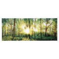 GLASBILD Landschaft & Natur 125/50 cm  - Multicolor, Natur, Glas (125/50cm) - Euroart