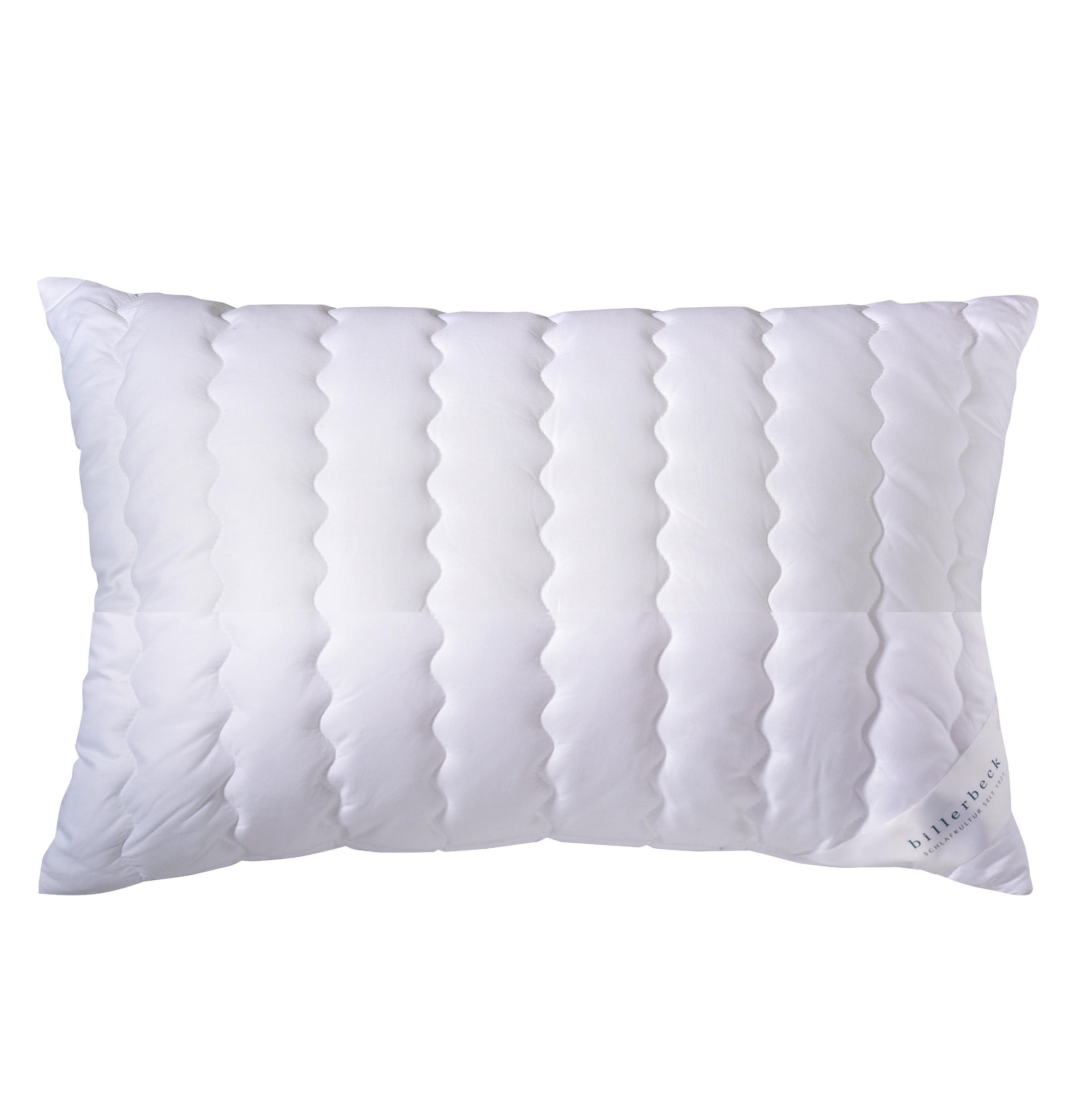 KOPFKISSEN   40/80 cm       - Basics, Textil (40/80cm) - Billerbeck