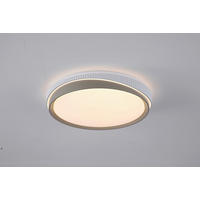 PLAFONIERĂ CU LED - alb/gri, Basics, plastic/metal (39/8,5cm)