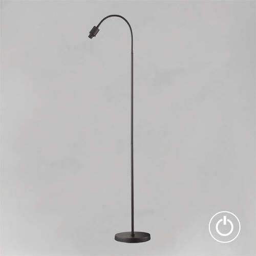 STEHLEUCHTE - Schwarz, Basics, Metall (145cm) - Fischer & Honsel