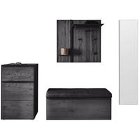 GARDEROBE 246/195/41 cm  - Anthrazit, Design, Glas/Holz (246/195/41cm) - Johann Jakob