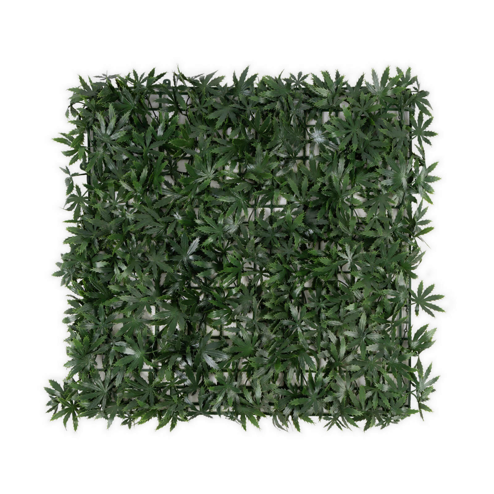 Wandverkleidung Pflanzenwand   - Trend (50/50cm) - Floordirekt