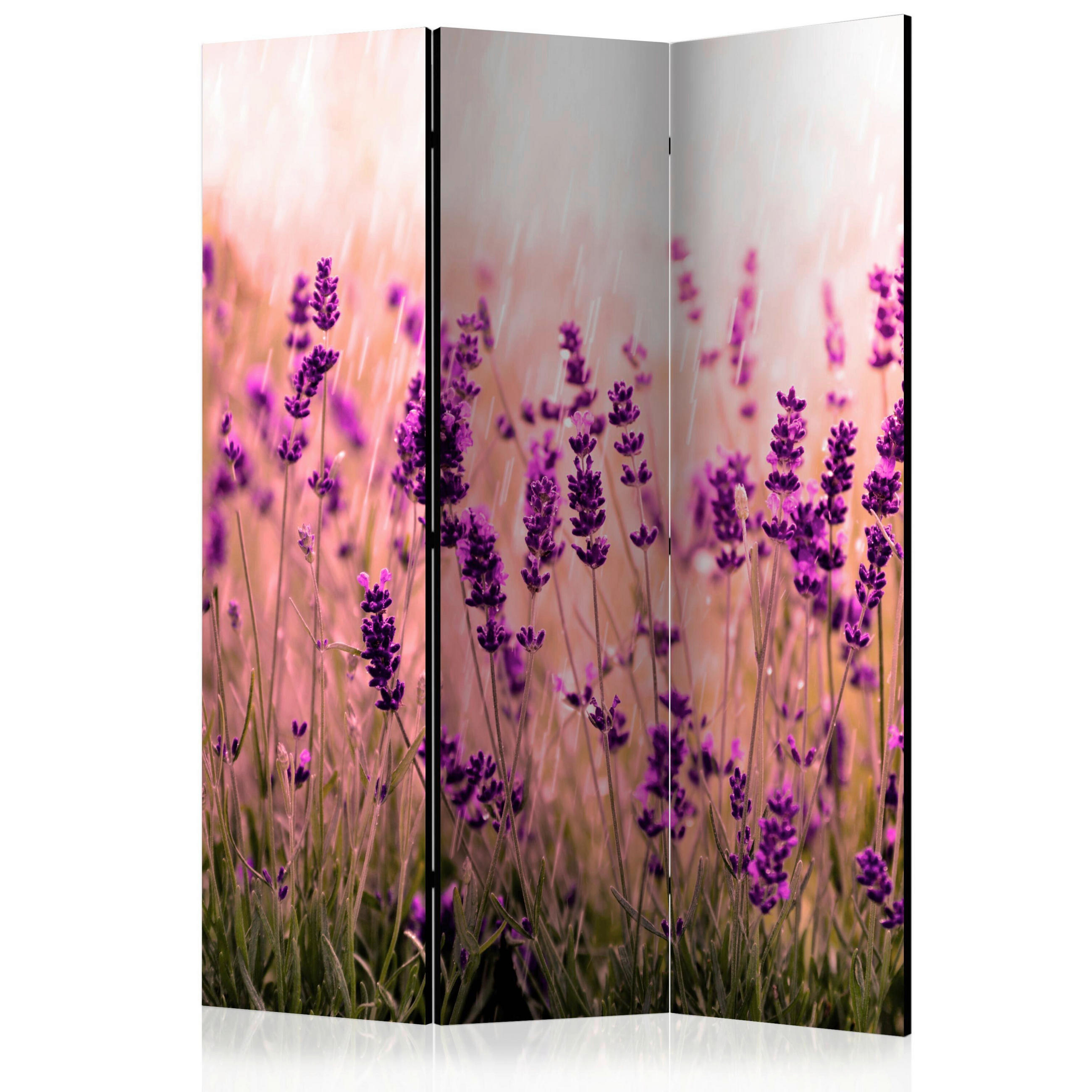 artgeist PARAVÁN, 135/172/3 cm