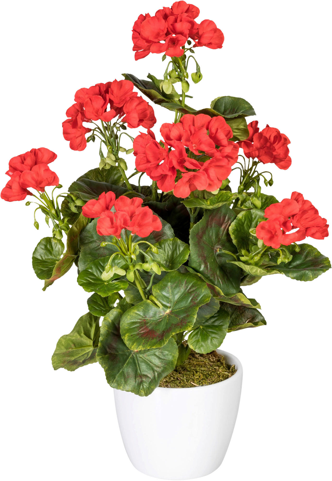 KUNSTPFLANZE Geranie 40 cm  - Rot/Weiß, Design, Keramik/Kunststoff (40cm) - P & B