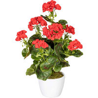 KUNSTPFLANZE Geranie 40 cm  - Rot/Weiß, Design, Keramik/Kunststoff (40cm) - P & B