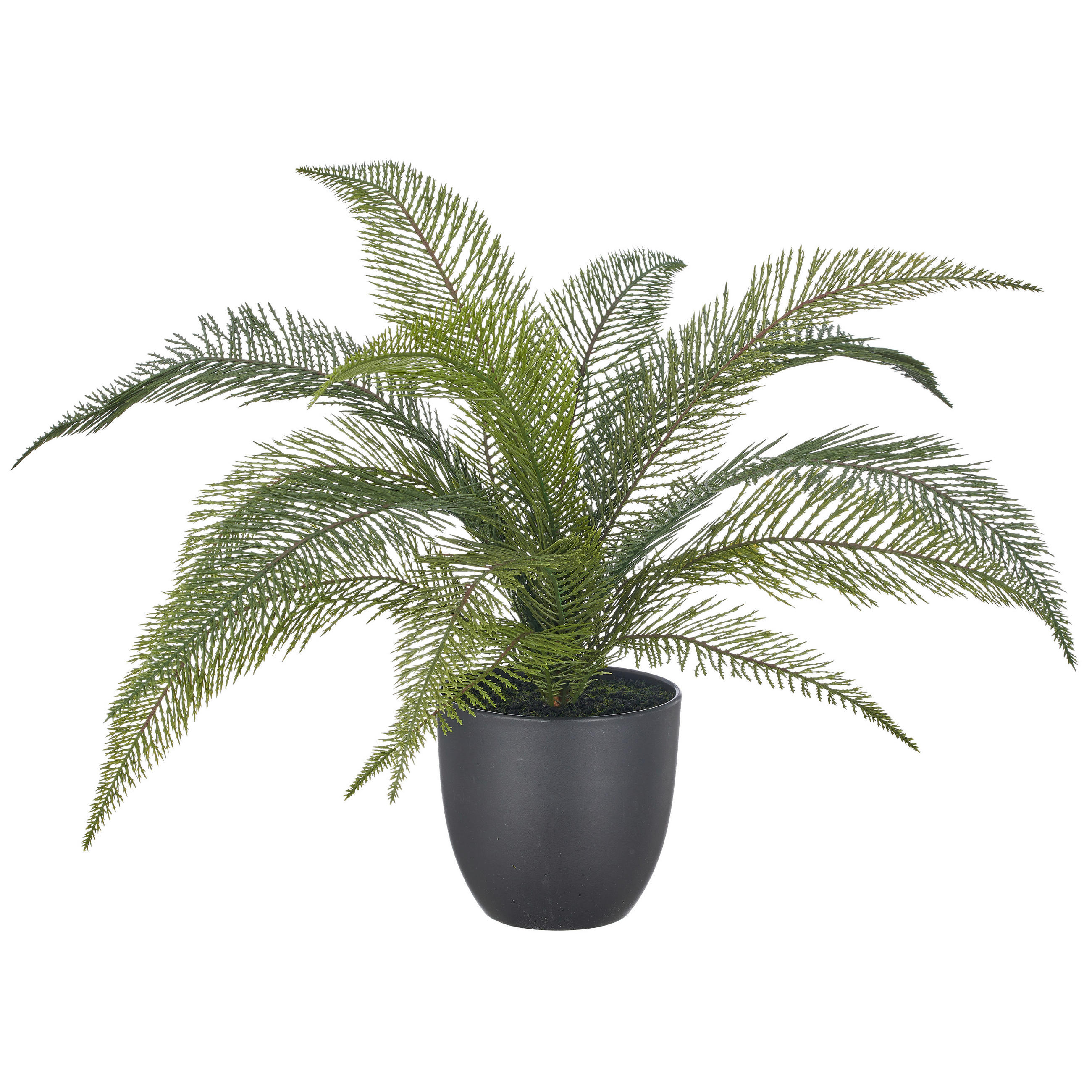KUNSTPFLANZE Farn 50 cm  - Schwarz/Grün, Basics, Kunststoff (50cm)