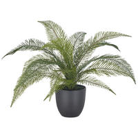 KUNSTPFLANZE Farn 50 cm  - Schwarz/Grün, Basics, Kunststoff (50cm)