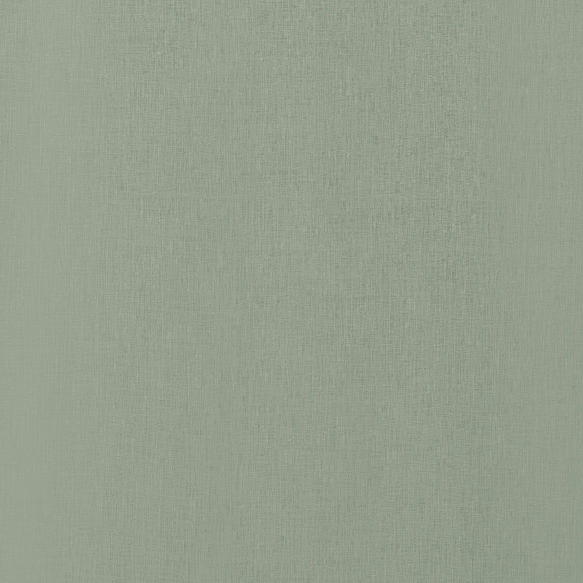 FERTIGVORHANG transparent  - Hellgrün, Basics, Textil (140/245cm) - Boxxx