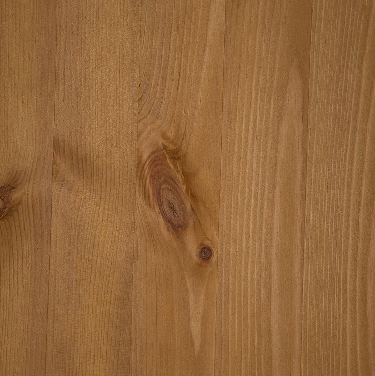 REGAL Kiefer massiv Kieferfarben  - Kieferfarben, Design, Holz (74/223/37cm) - Livetastic