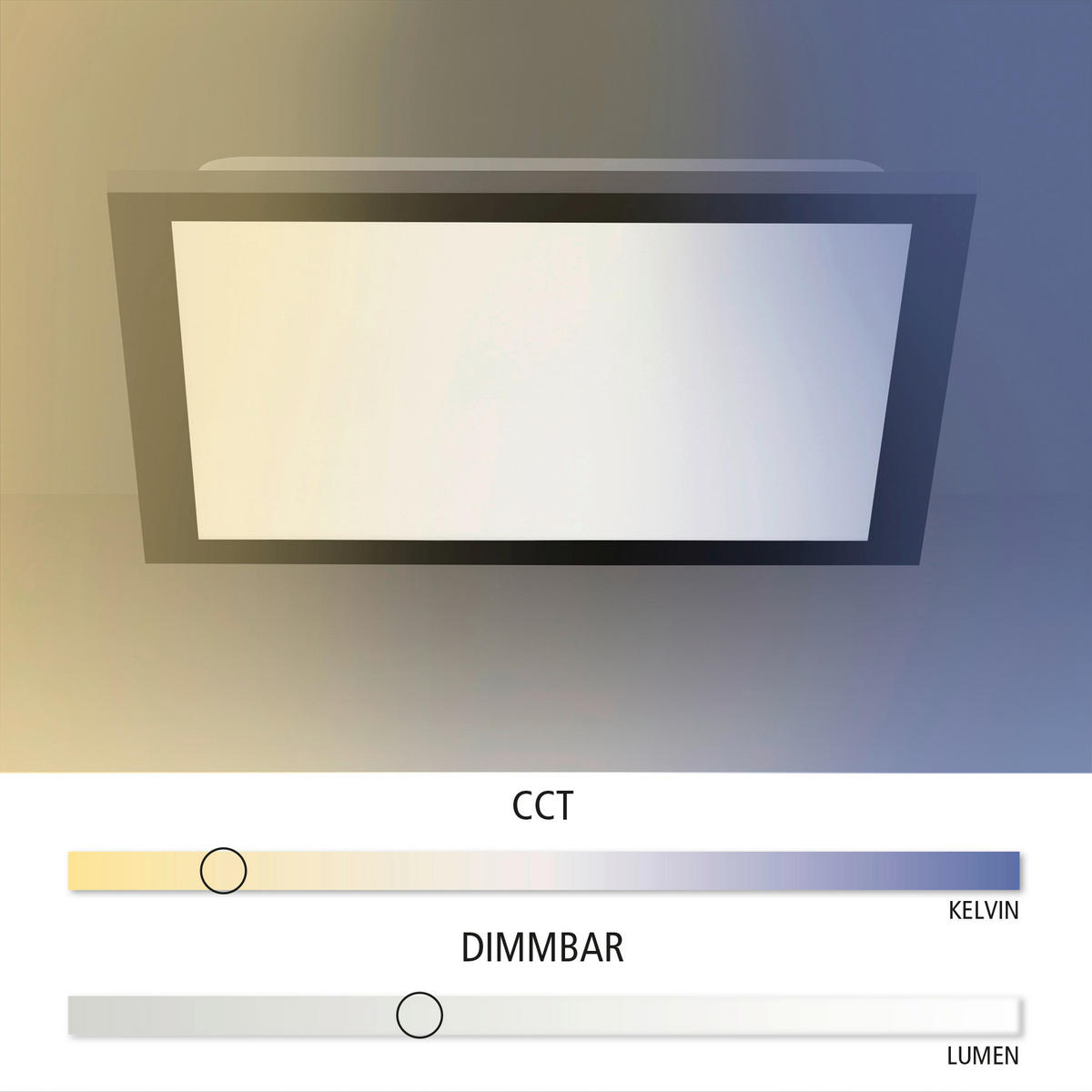 LED-DECKENLEUCHTE 18 W    29,5/29,5/6 cm  - Schwarz, Basics, Kunststoff/Metall (29,5/29,5/6cm)