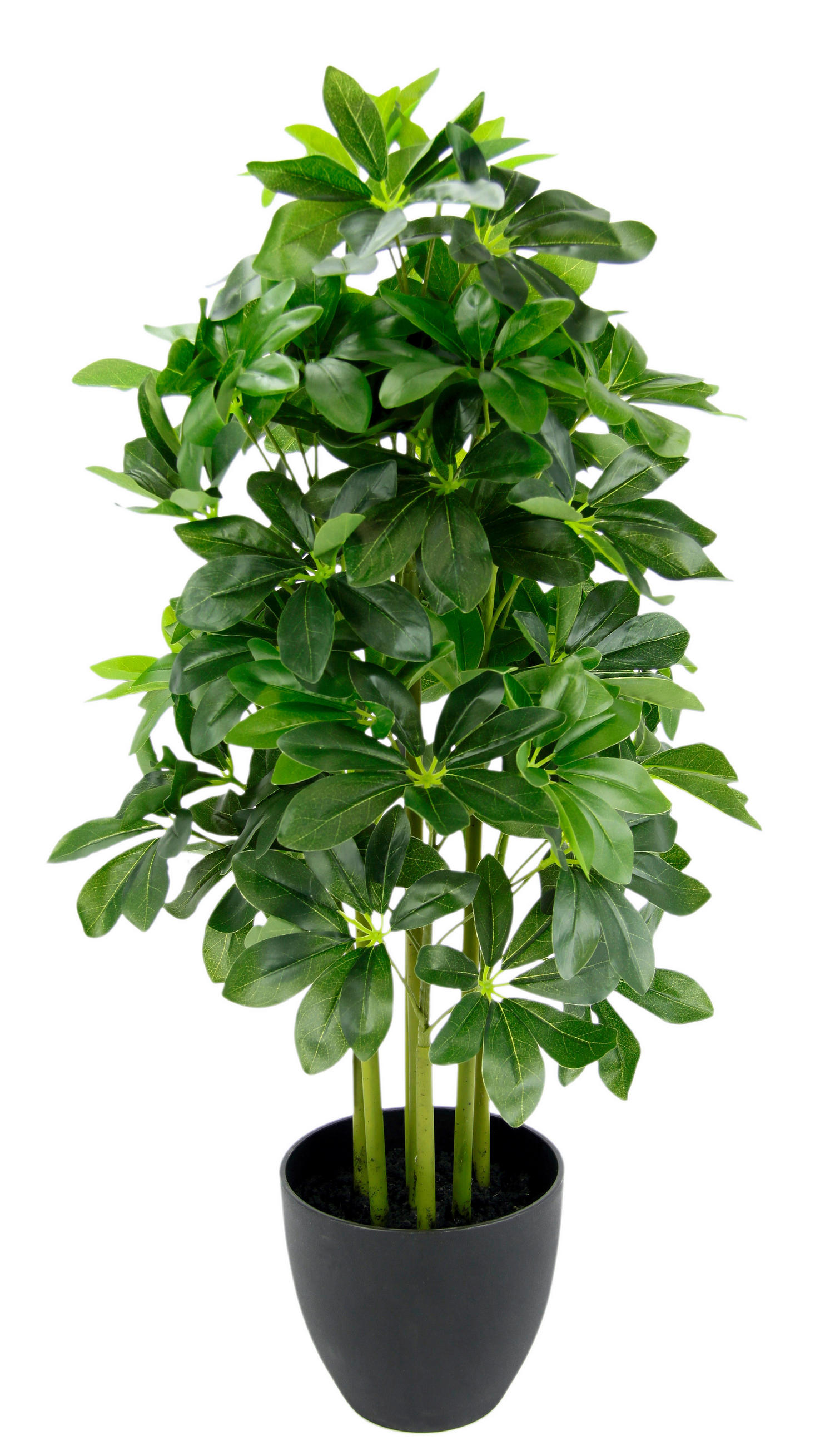 UMĚLÁ ROSTLINA 80 cm