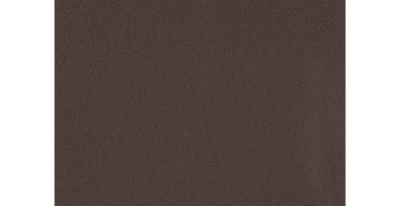 RELAXSESSEL in Leder Braun  - Edelstahlfarben/Braun, Design, Leder/Metall (76/119/86cm) - Dieter Knoll