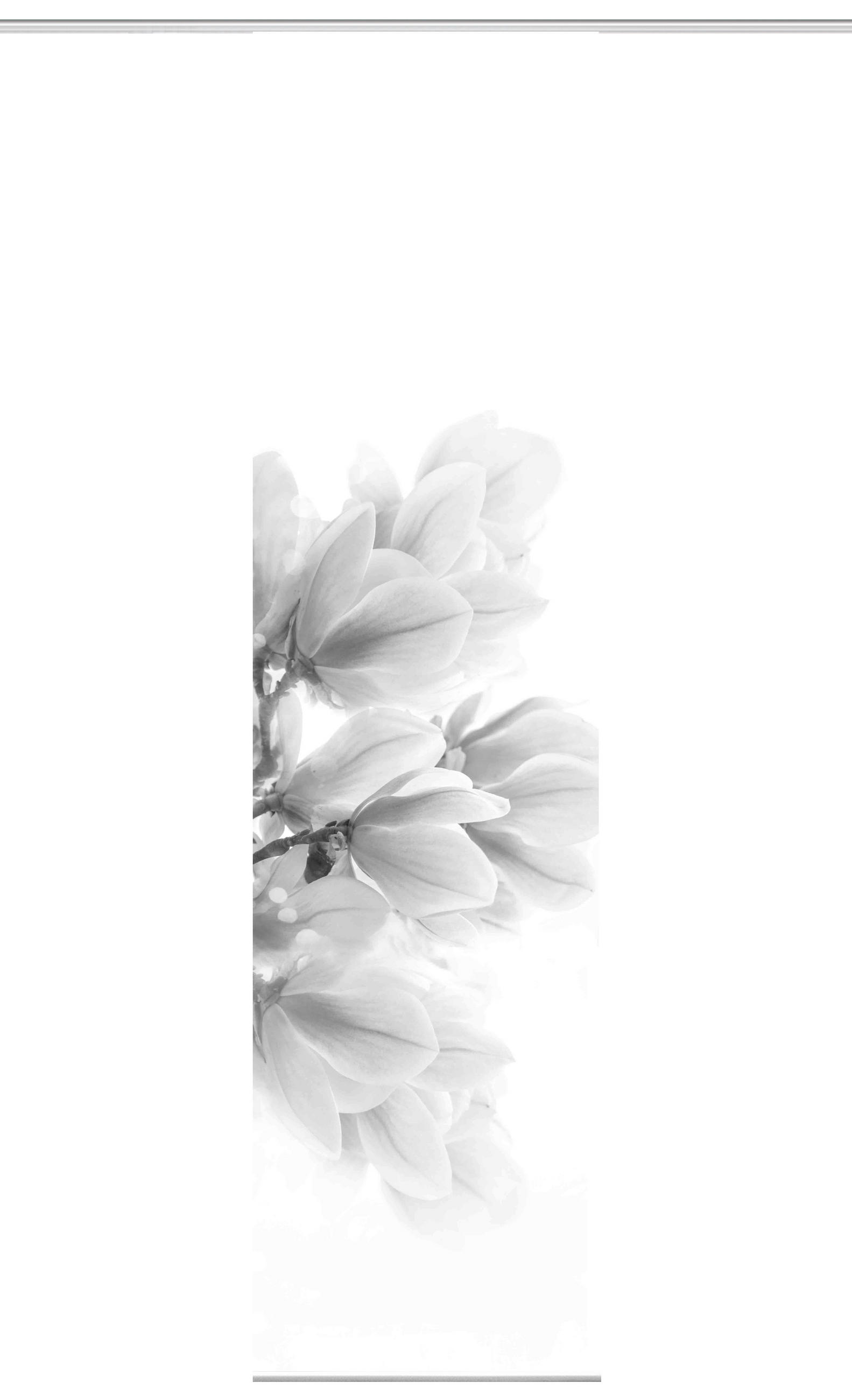 FLÄCHENVORHANG   blickdicht   60/245 cm  - Grau, Natur, Textil (60/245cm)