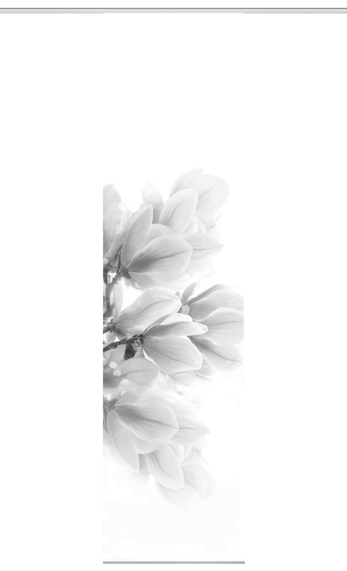 FLÄCHENVORHANG   blickdicht   60/245 cm  - Grau, Natur, Textil (60/245cm)