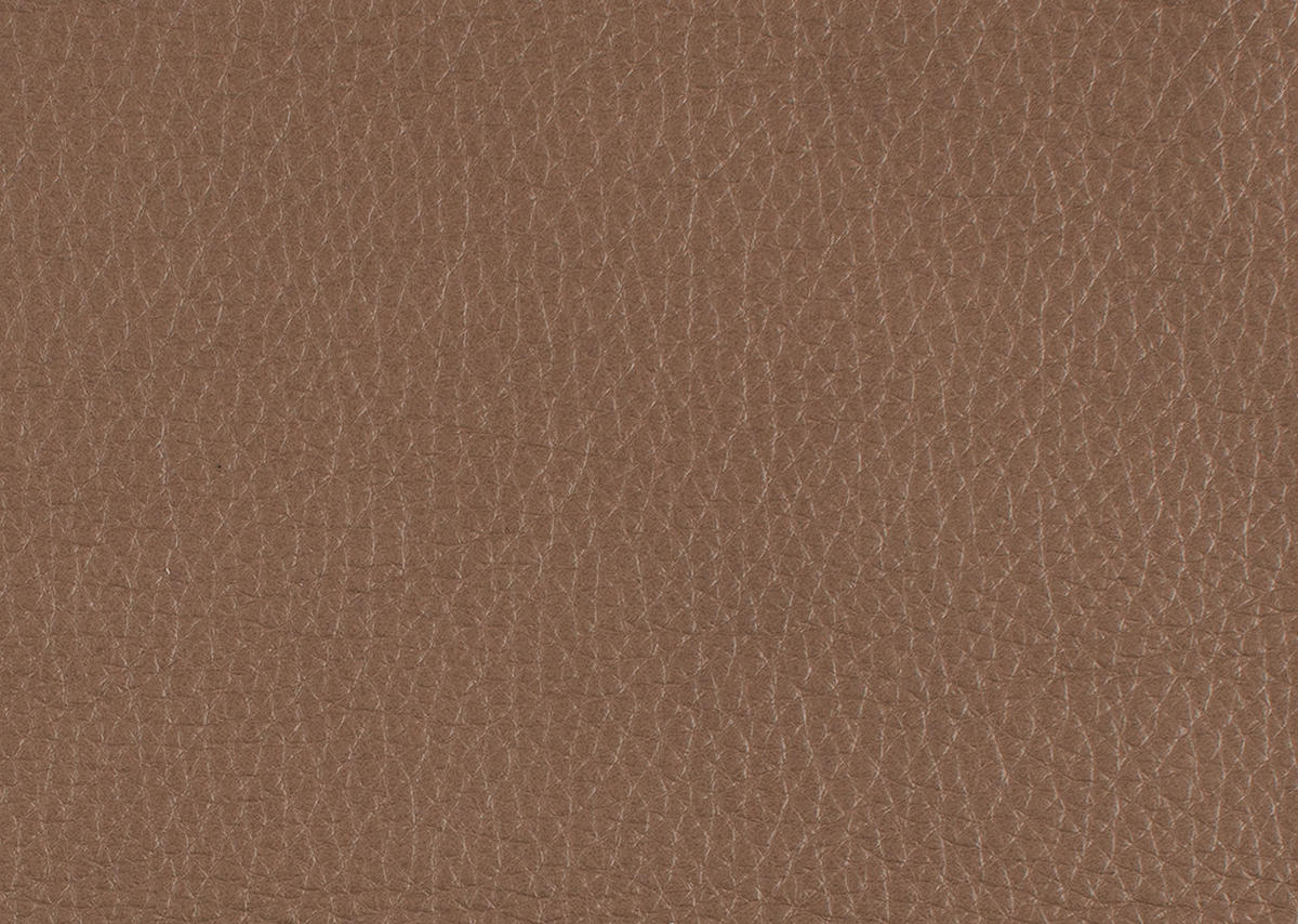 RÉCAMIERE in Echtleder Hellbraun  - Chromfarben/Hellbraun, Design, Leder/Metall (209/85-109/95-16cm) - Dieter Knoll