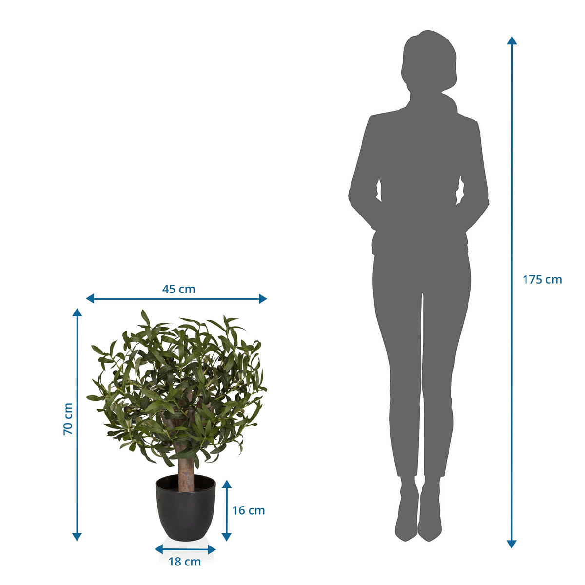 KUNSTPFLANZE Olive  - Schwarz/Braun, MODERN, Kunststoff (45/70/45cm) - MID.YOU