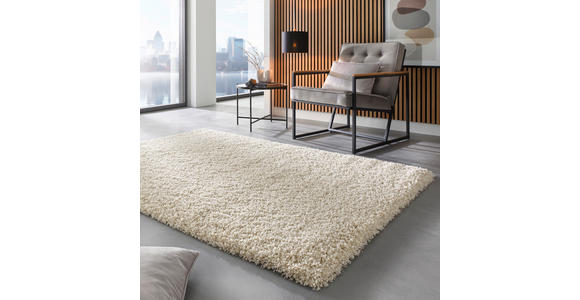 HOCHFLORTEPPICH 133/195 cm Weiß  - Weiß, Basics, Textil (133/195cm) - Novel