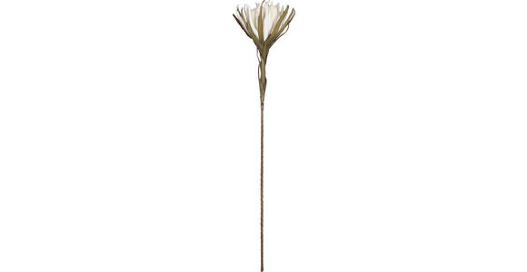 KUNSTBLUME - Braun/Grau, Basics, Kunststoff/Metall (108cm) - Ambia Home