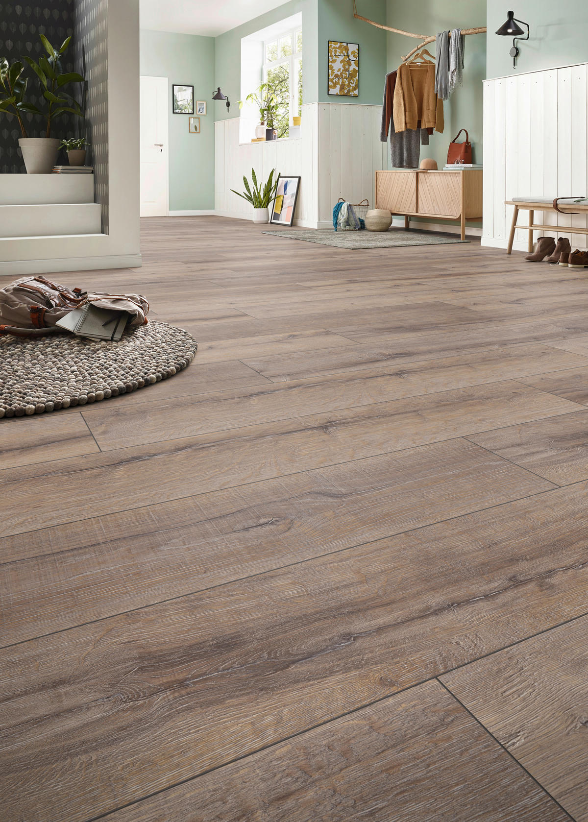 LAMINATBODEN Exquisit Plus  - Eichefarben, KONVENTIONELL, Holz (138.0/24.4/0.8cm)