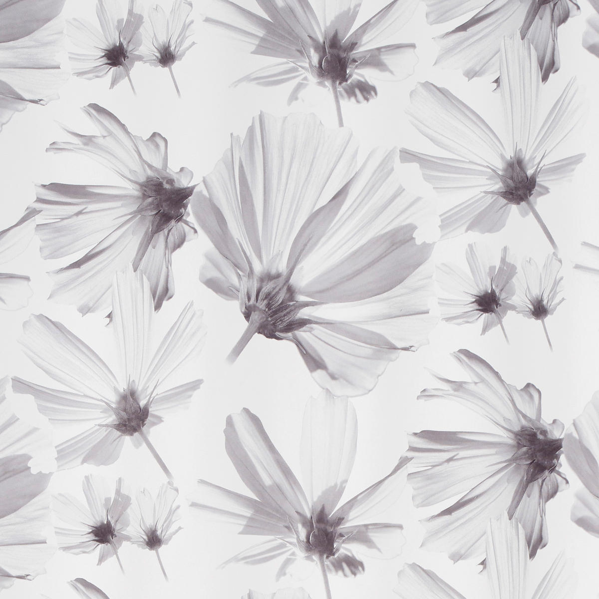 ÖSENSCHAL Bagna blickdicht 140/255 cm   - Silberfarben, Basics, Textil (140/255cm) - Ambiente