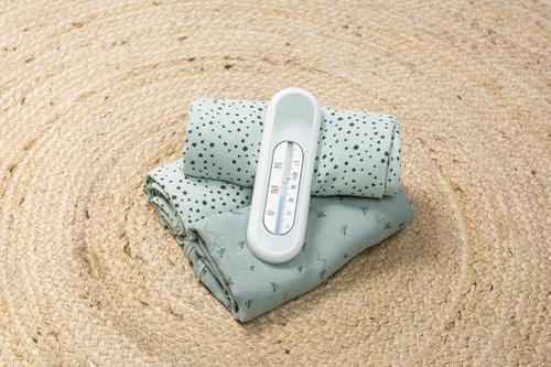 BADETHERMOMETER Fabulous   - Pastellgrün/Weiß, Trend, Kunststoff (16,5/5/1,3cm) - Bebe Jou