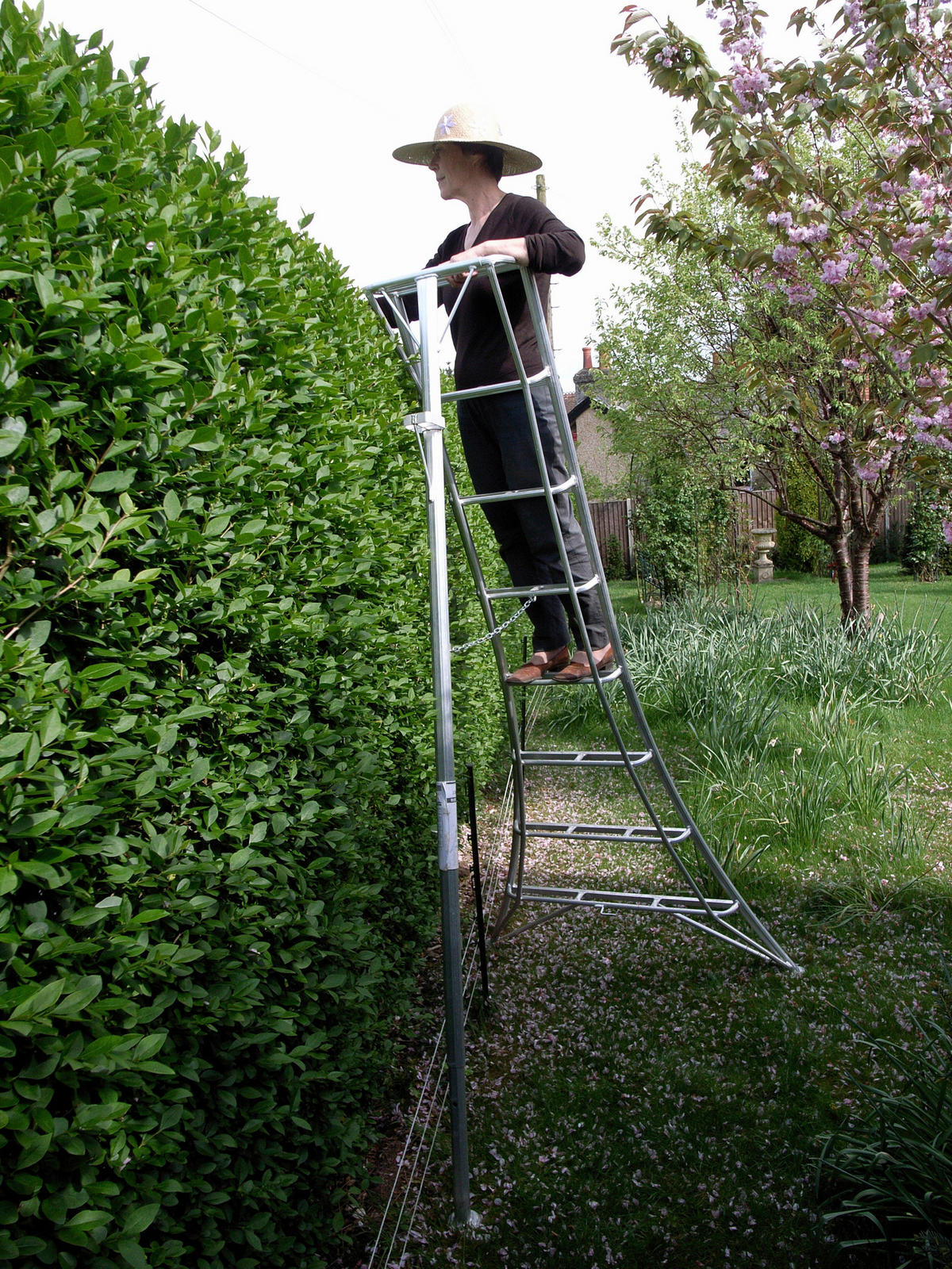 LEITER - Silberfarben, Basics, Metall (125/240/20cm) - Ambia Garden