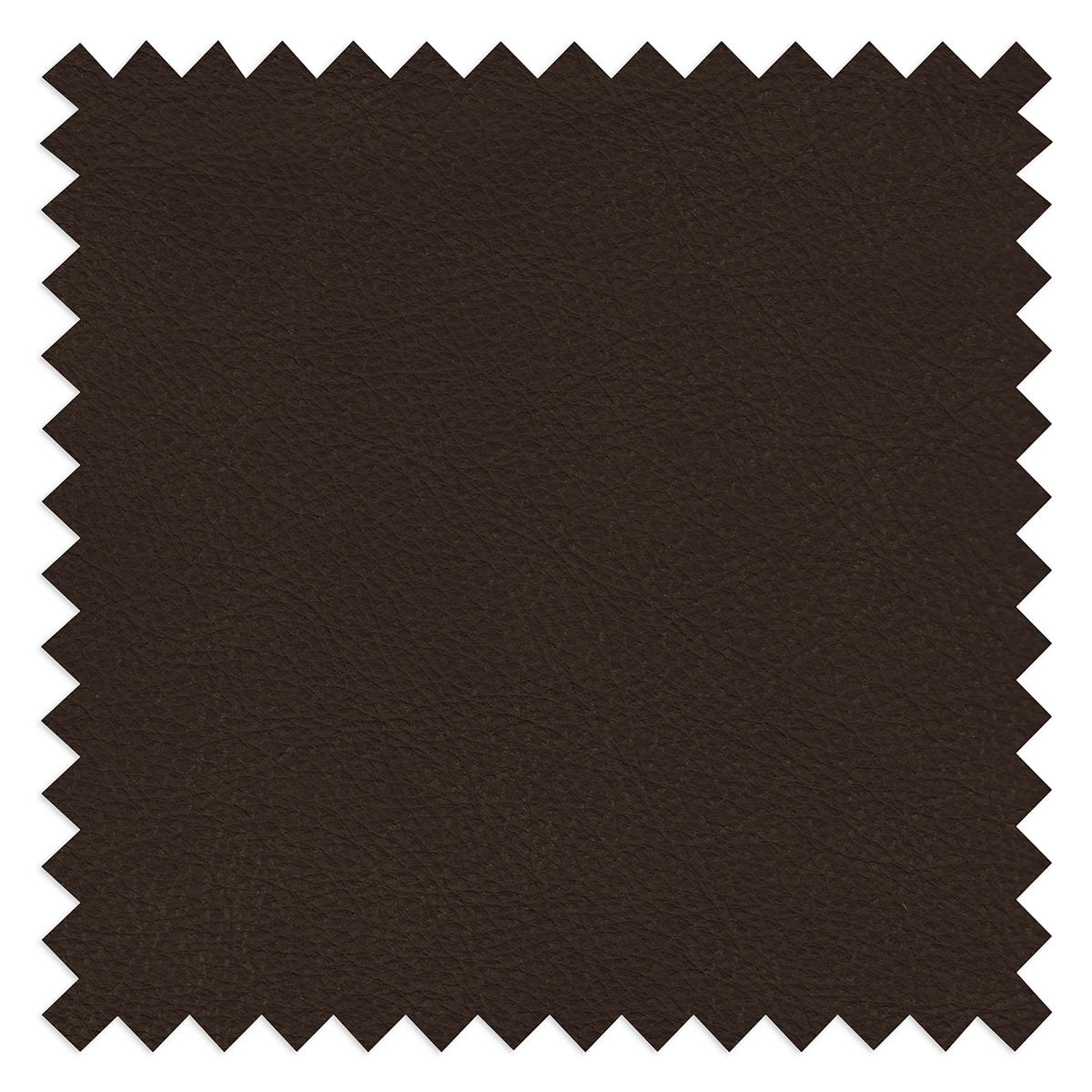 2-SITZER-SOFA  in Echtleder Dunkelbraun   - Dunkelbraun/Beige, Design, Leder/Kunststoff (240/85/123cm) - Livetastic