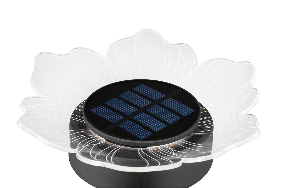 SOLARLEUCHTENSET Lisianthus 14/14 cm  - Transparent/Schwarz, Design, Kunststoff (14/14cm) - Ambia Garden