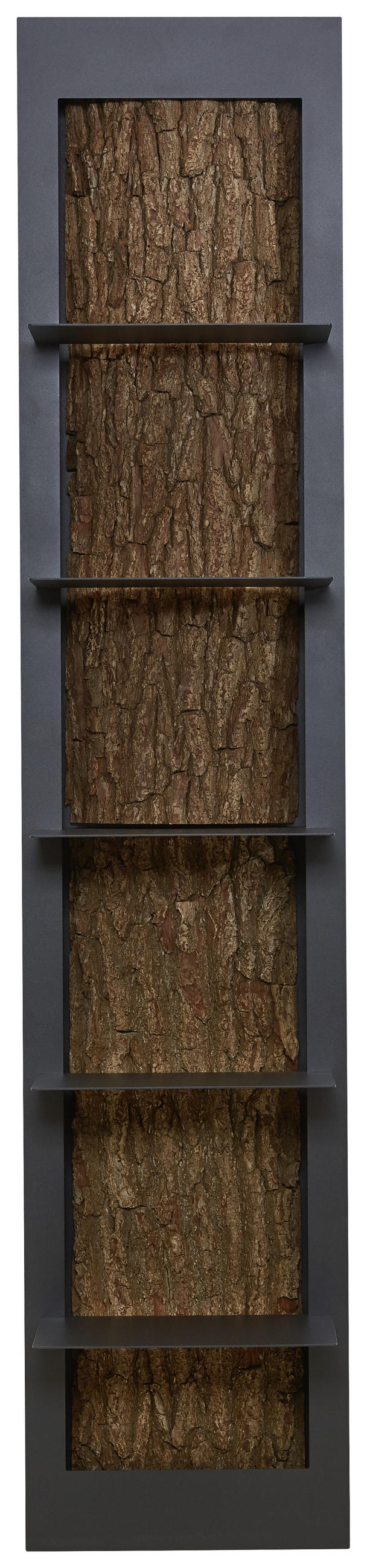 REGAL  38,5/181/29 cm Anthrazit, Eichefarben  - Eichefarben/Anthrazit, Natur, Holz/Metall (38,5/181/29cm) - Valnatura