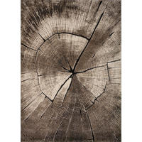 WEBTEPPICH 200/290 cm Ibiza Graubraun  - Graubraun, KONVENTIONELL, Textil (200/290cm)